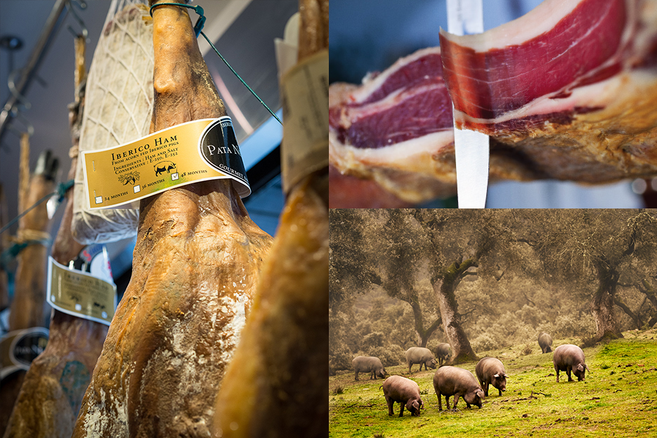 Spanish Iberico ham has been one of the beloved gourmet foods in Hong Kong over the past decade. Before, there was no pinnacle Spanish ham to be found in Hong Kong. It was not until 2006 when Pata Negra House (PNH) introduced the delicacy to Hong Kong.